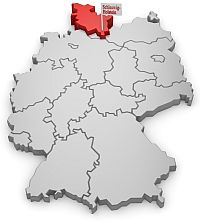 Chovatelé a štěňata landseerů ve Šlesvicku-Holštýnsku,Severní Německo, SH, Severní Frísko