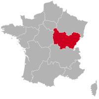 Chovatelé a štěňata flat coated retrieverů v Bourgogne-Franche-Comté,